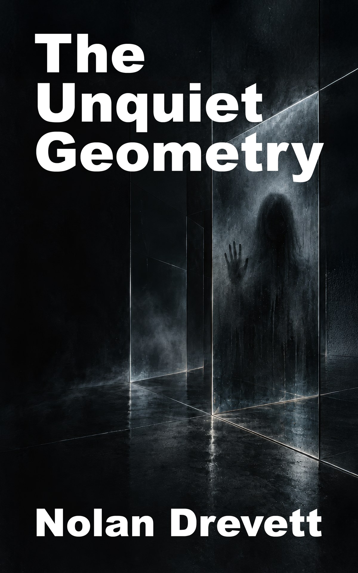 Cover of The Unquiet Geometry